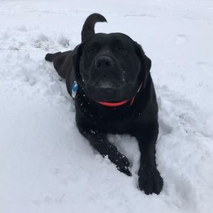 Meet your Posher, Lisa